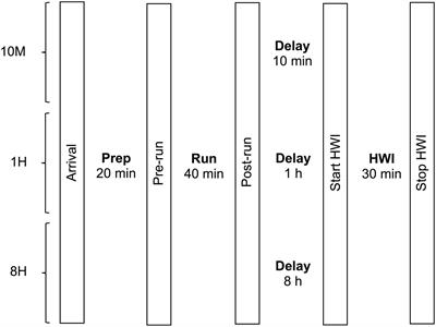 How Does a Delay Between Temperate Running Exercise and Hot-Water Immersion Alter the Acute Thermoregulatory Response and Heat-Load?